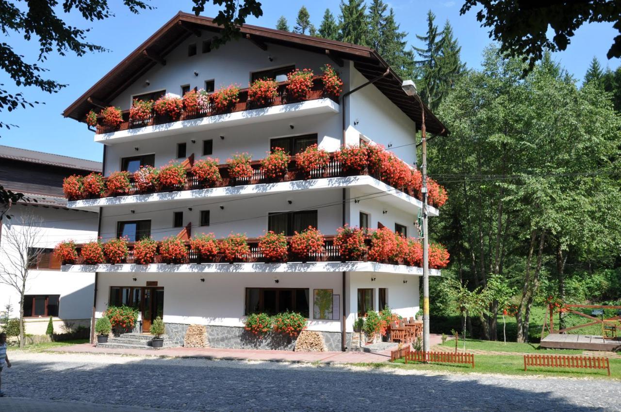 Pensiunea Anotimpuri Maison d'hôtes 3*