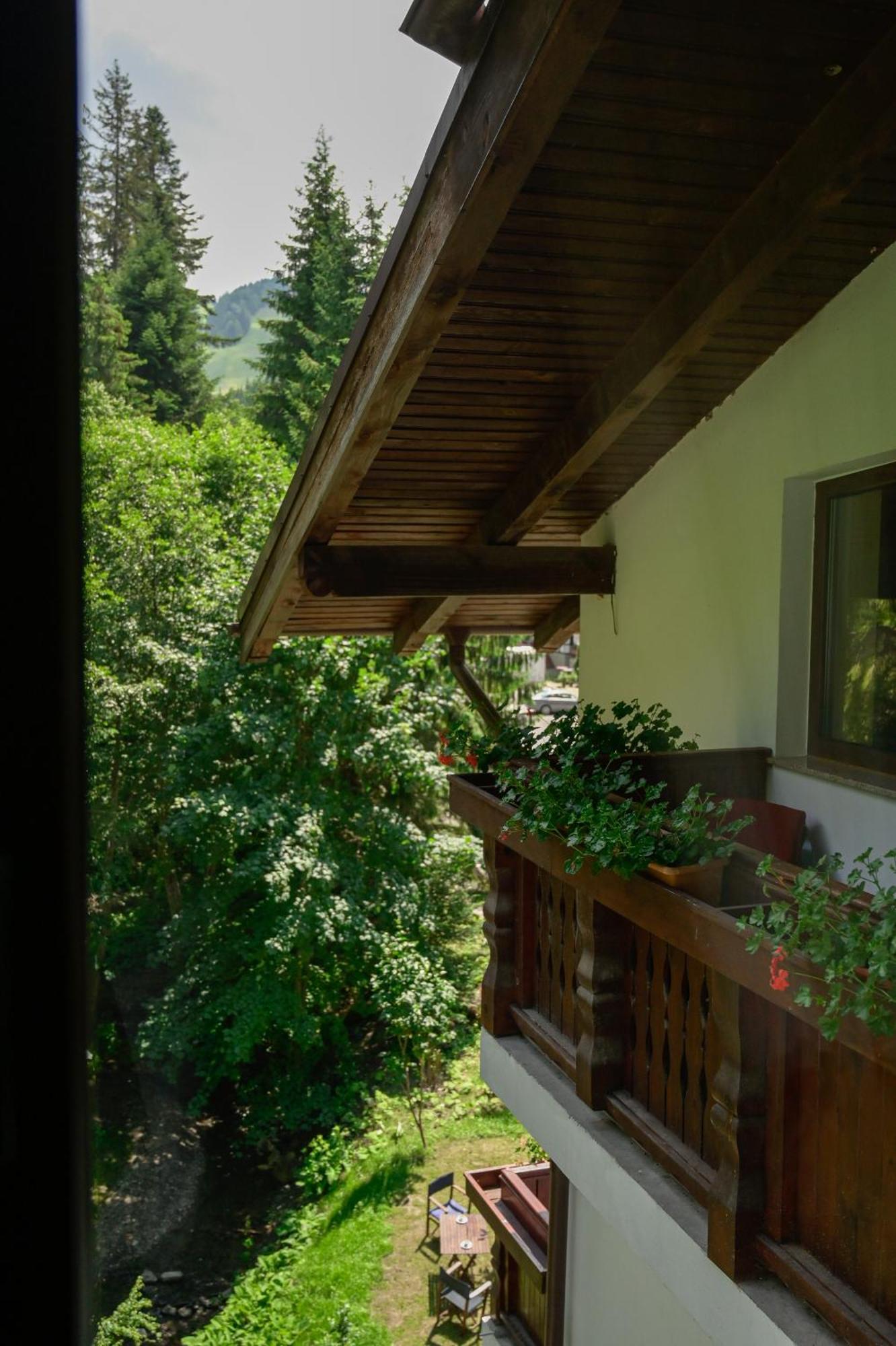 Maison d'hôtes Pensiunea Anotimpuri 3*